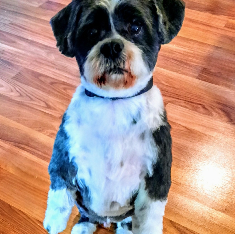 Meet your Posher, Sandy